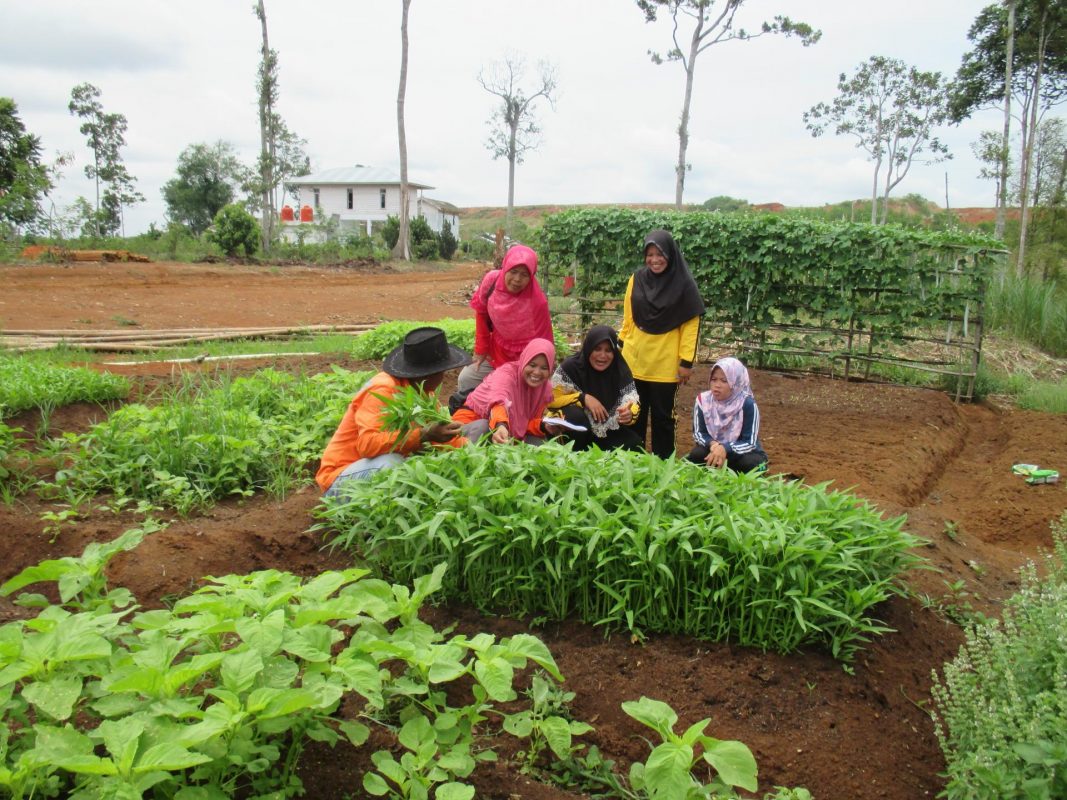 Golden Energy and Resources